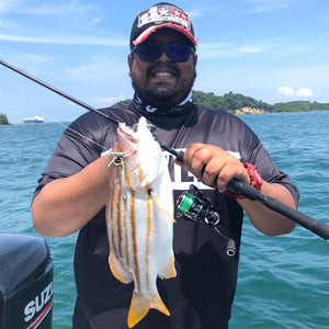 Micro Jigging In Singapore