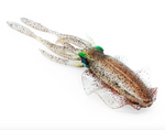 CHASEBAITS ULTIMATE SQUID